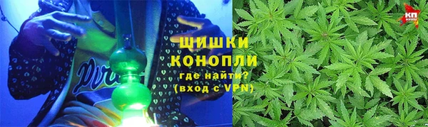 дмт Новокубанск