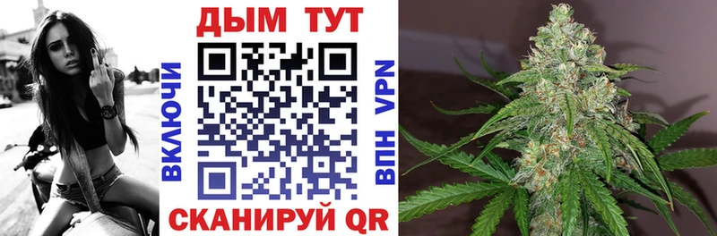где найти   Динская  Шишки марихуана Ganja 